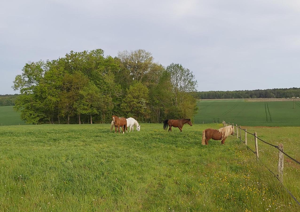 Вілла Les Pres Du Petit Morlu - Proche Beauval Saint-Romain-sur-Cher Екстер'єр фото